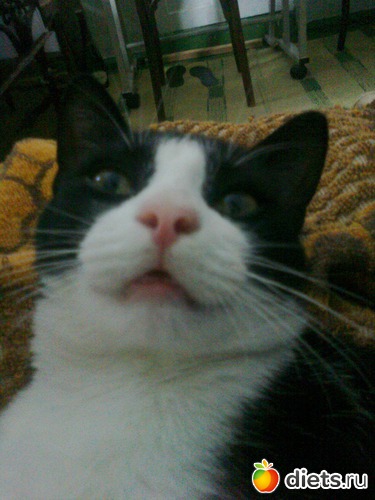 1 ����: ���� ��� ���� �������!