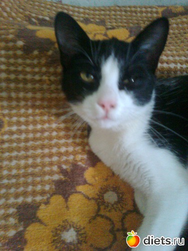 ���� �� ���� ���������?, ������: ���� ��� ���� �������!