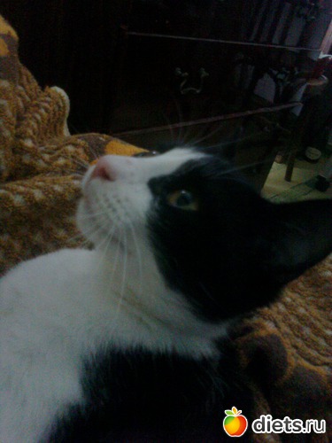 � ���������-��� �� ������ �������? :-), ������: ���� ��� ���� �������!