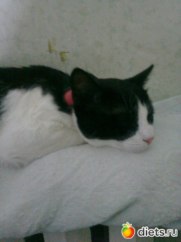 ���, ������: ���� ��� ���� �������!