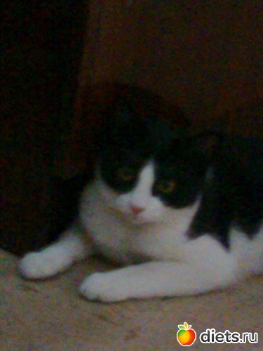 ����������� ����� ������� :-), ������: ���� ��� ���� �������!