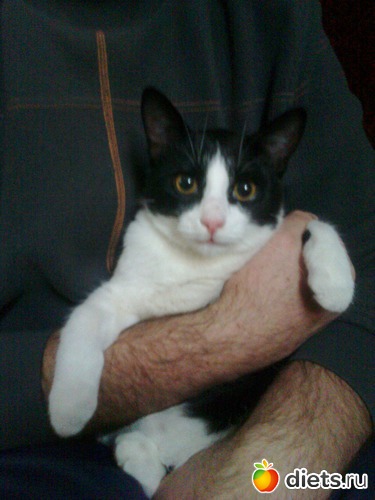 9 ����: ���� ��� ���� �������!