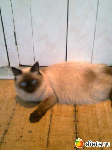 ���. ������, ������: ��������