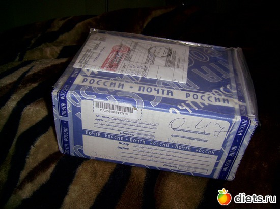 1 ����: �������