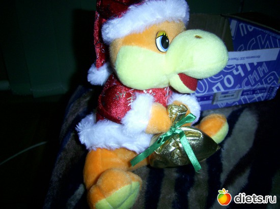 3 ����: �������