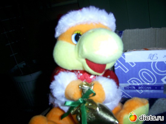 4 ����: �������