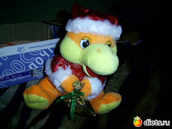 5 ����: �������