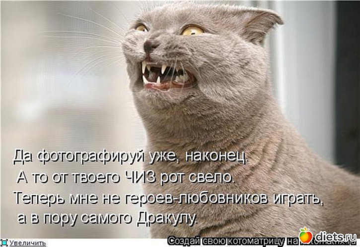 23 ����: �����������