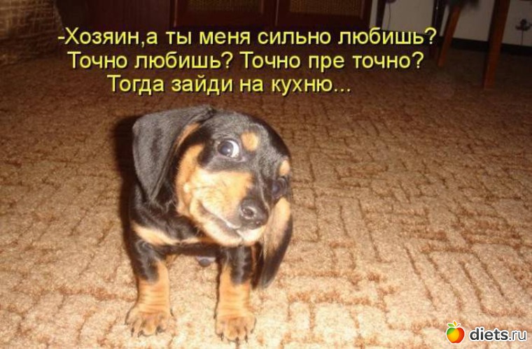 24 ����: �����������