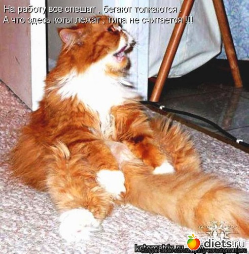 7 ����: �����������