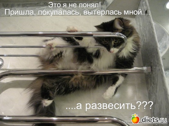 10 ����: �����������