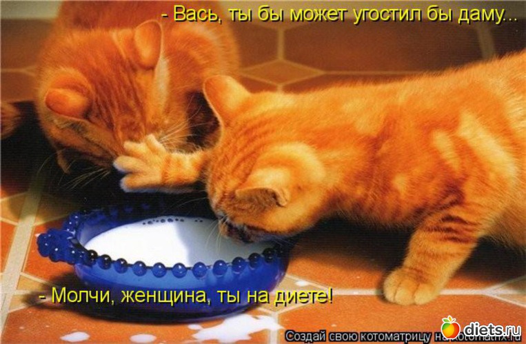 11 ����: �����������