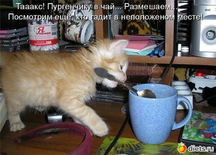 32 ����: �����������