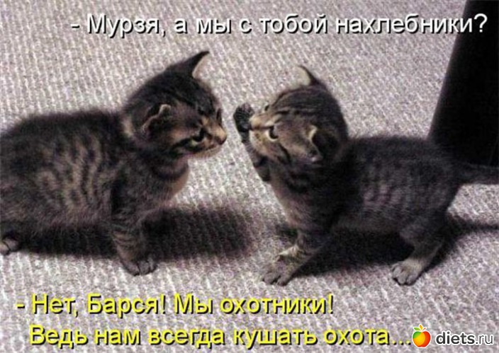 12 ����: �����������