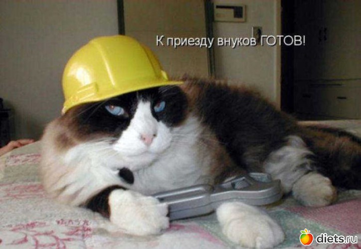 33 ����: �����������