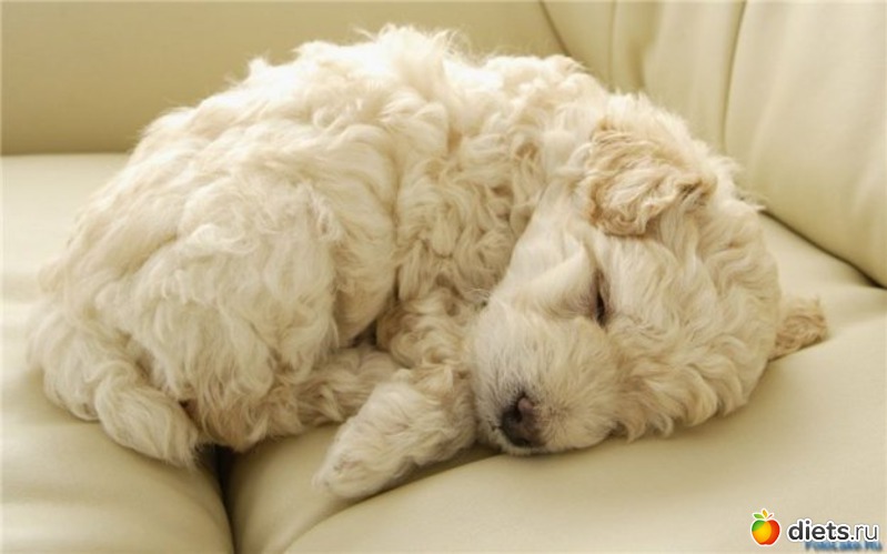 14 ����: �����������