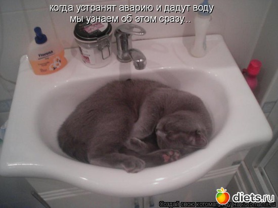 19 ����: �����������