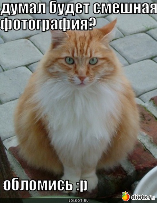 21 ����: �����������