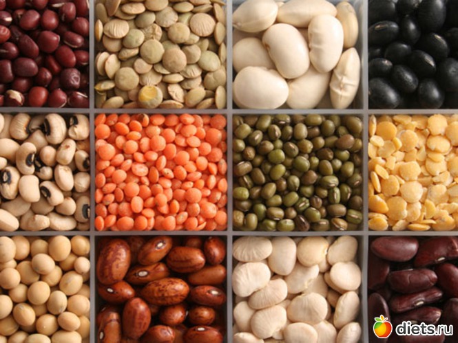 55 ����: ������ ��������