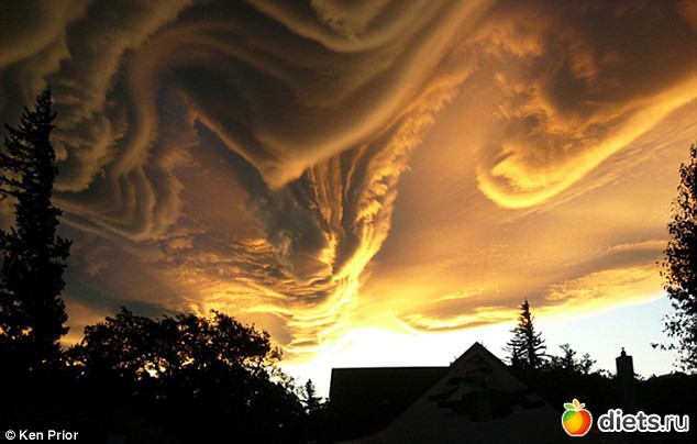 5 фото: Красиво