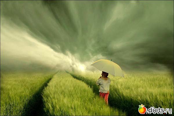 37 ����: �������