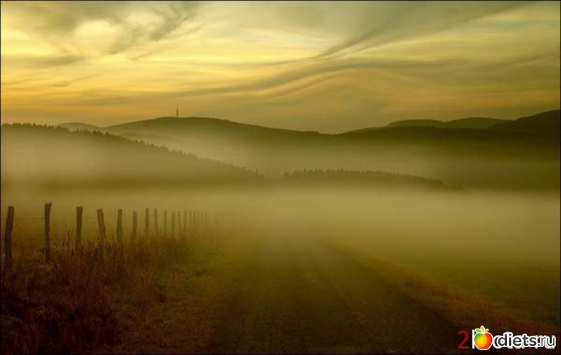 39 фото: Красиво