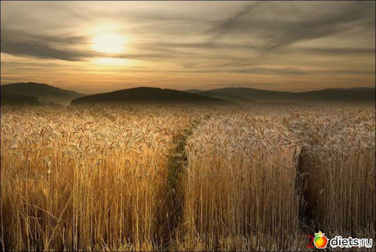 40 фото: Красиво