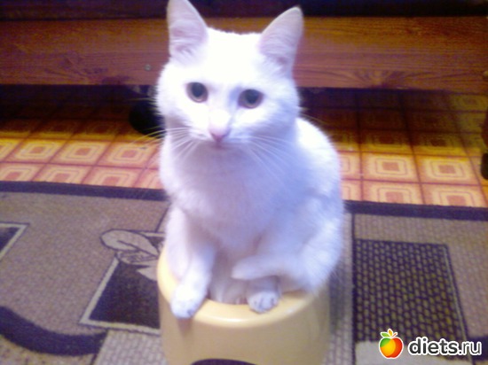 1 фото: Наш любимый СТАС!