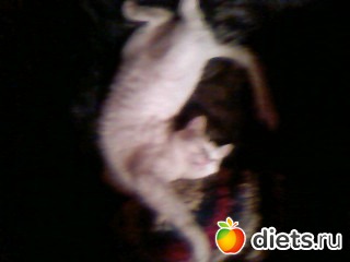 Наш любимый СТАС!