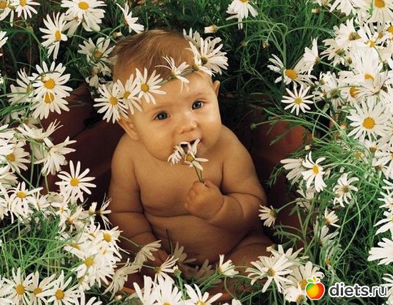 29 ����: �������