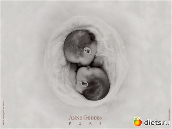 31 ����: �������