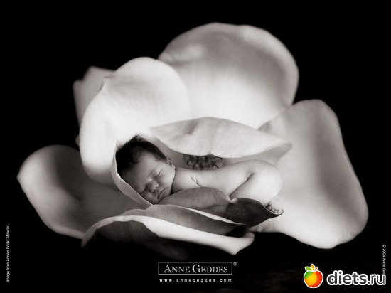 34 ����: �������