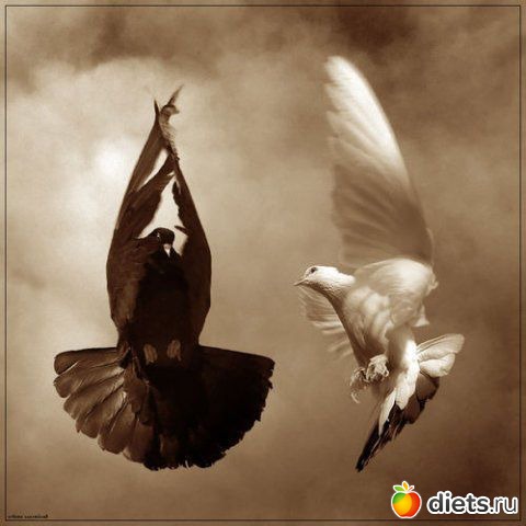 Про любовь. Ко дню святого Валентина...