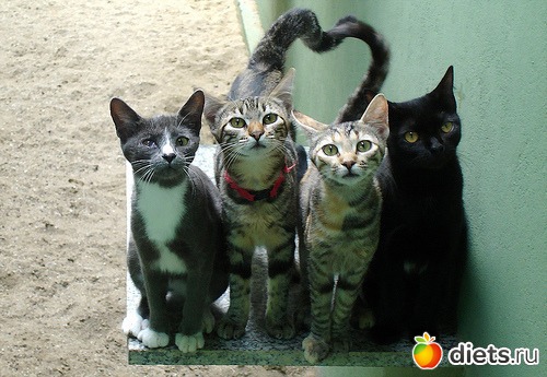 ��� ������. �� ��� ������� ���������...