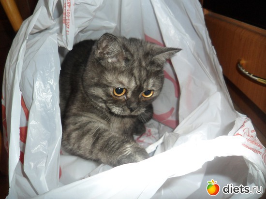 1 ����: �����