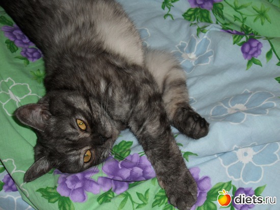 2 фото: Тимка