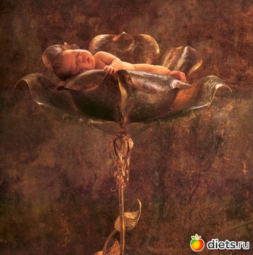 10 ����: �������