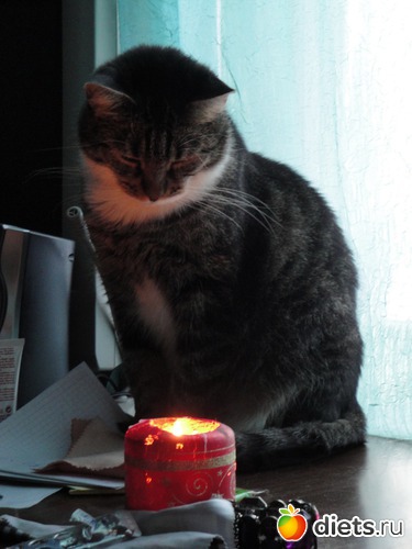 2 ����: ��������� ���