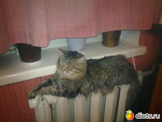 1 фото: Прохор