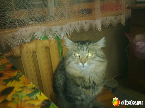 2 фото: Прохор