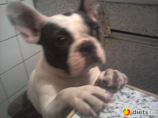 2 фото: БОНЯ