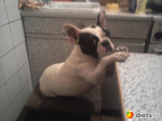 Боня, альбом: БОНЯ