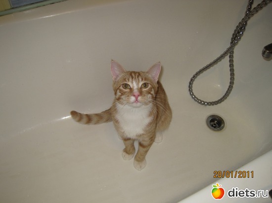 � �� �����!���� ������ ������! ��� ����, ��� ����?!?, ������: ������