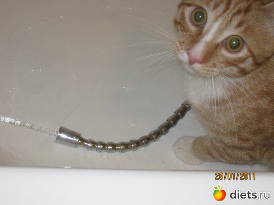 �! ���������� �����, ������: ������