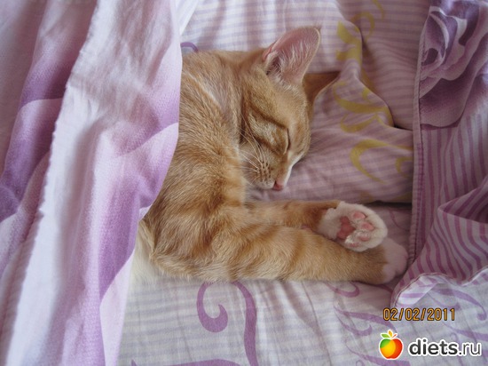 ��� �����, ��� ����� ������:), ������: ������