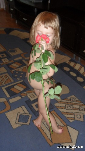 1 ����: ����