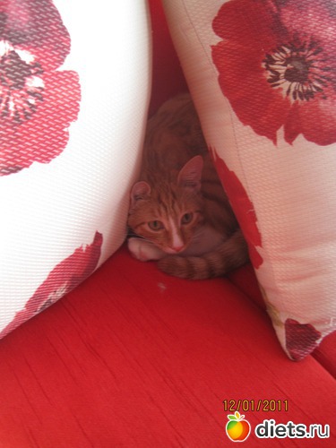 ���, � � ������, ������: ������