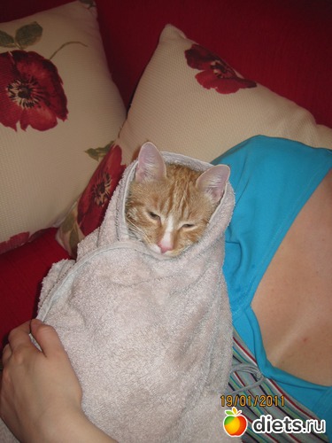 � ������ �����!, ������: ������