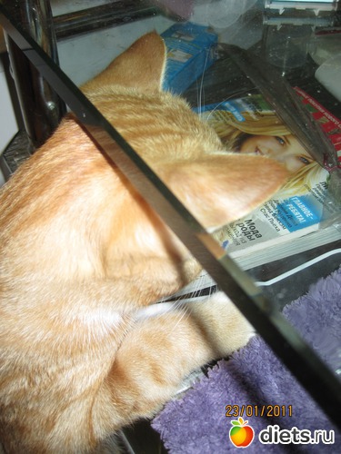 ��� ����������� �������� ����?, ������: ������