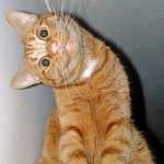 ����� �� 9.02.11